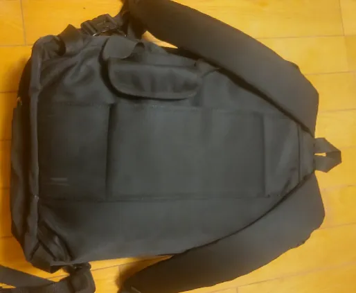 帰宅後の状態。傍目からは特に変な印象はない