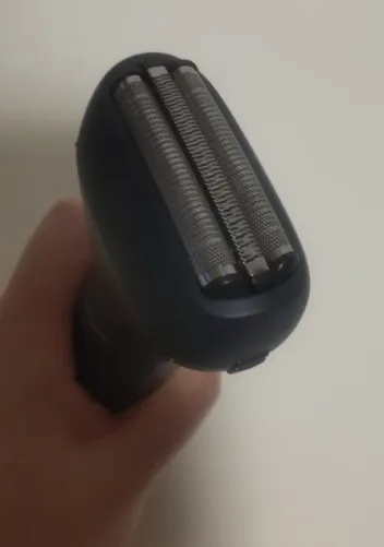 上から見た様子