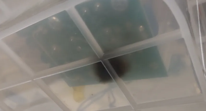 底面焦げてる！